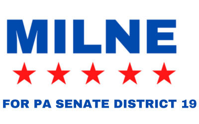 ilne for PA senate district 19 banner